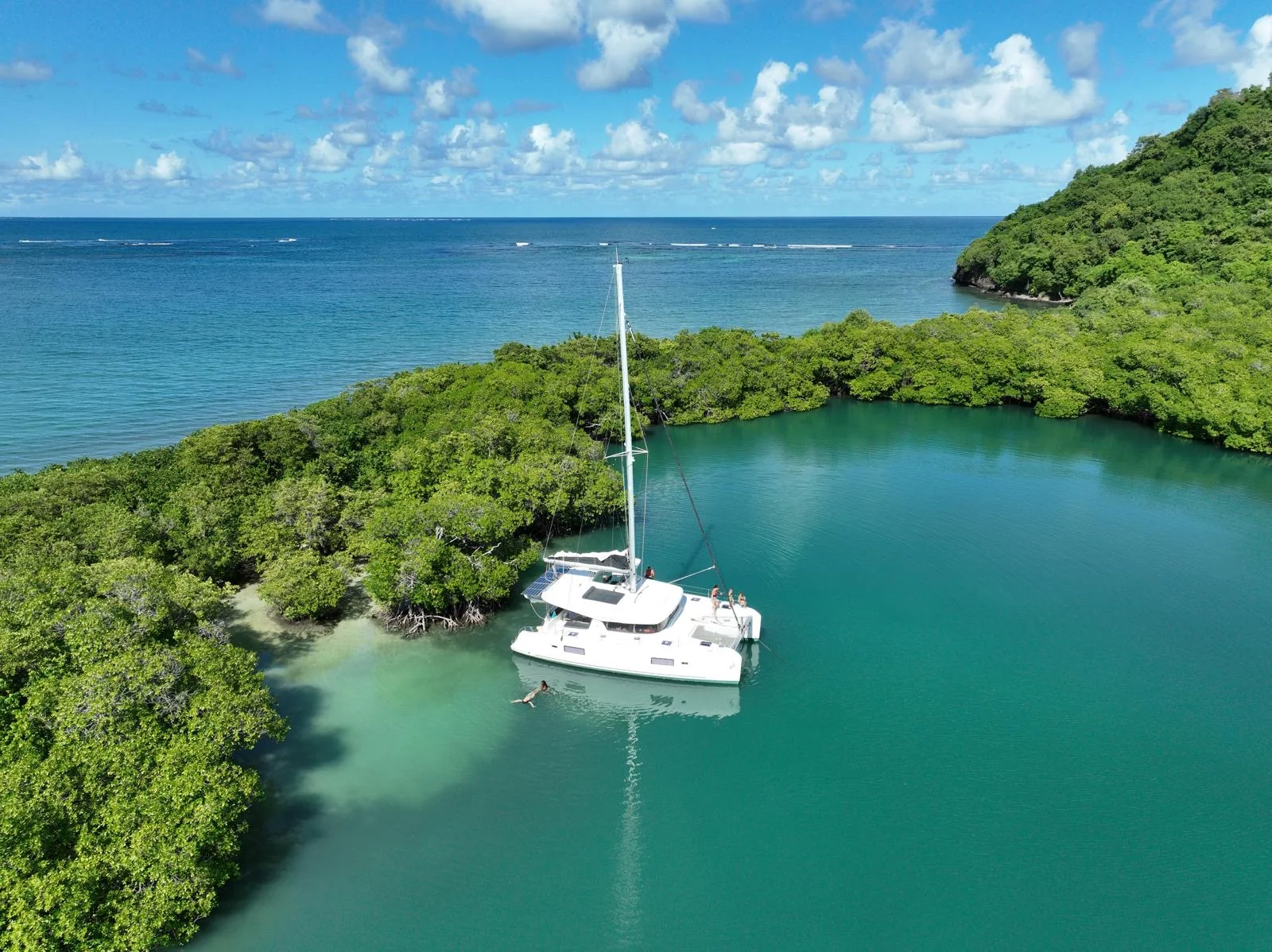 Lush mangrove and coastal waters of Martinique